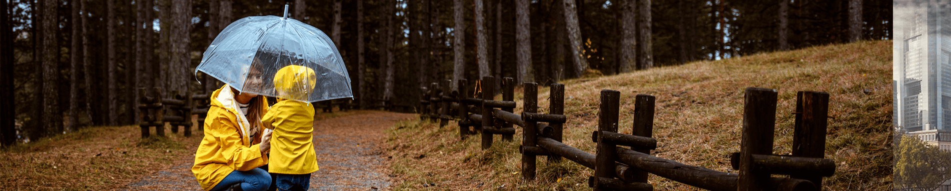 Spokane Umbrella Insurance coverage